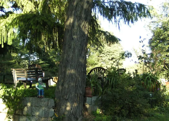 Daire Staw Zatom Nowy